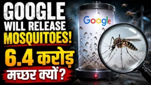 Google Mosquito Project के तहत छोड़े जाने वाले विशेष नर मच्छरों का वैज्ञानिक चित्रण