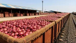 Kanda Express Onion Prices: प्याज़ के बढ़ते दामों पर नकेल कसने आ रही ‘कांदा एक्सप्रेस’, जानिए किसानों की आपत्ति और ज़मीनी हकीकत