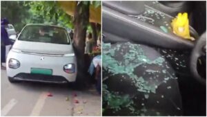 Car Drives Away Without Driver Punjab: पंजाब में बिना ड्राइवर सड़क पर दौड़ी कार, रेहड़ी को मारी टक्कर; जानें लापरवाही और सुरक्षा से जुड़े बड़े सबक