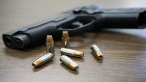 Punjab Arms Licence Crackdown: पंजाब सरकार ने नए हथियार लाइसेंस जारी करने पर लगाई रोक, ED की चेतावनी के बाद बड़ा एक्शन